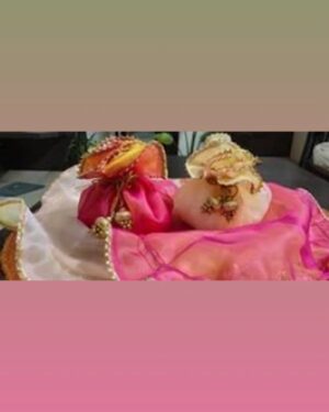 Elegant Organza Potli with Gota Latkan - Set of 6